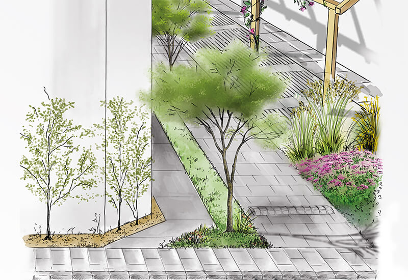 Jonction végétalisée Zones routières et zones de séjour