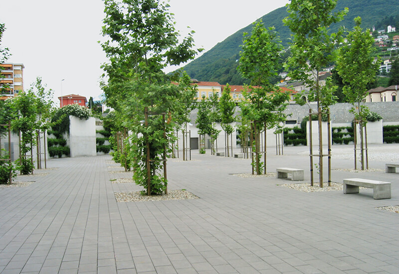 Pflastersteine und begrünte Bereiche auf einem Platz