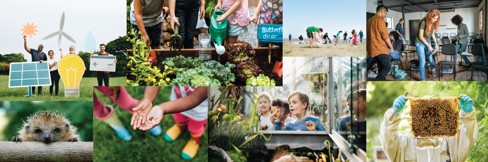 A collage of image illustrating various aspect of environmental sustainability