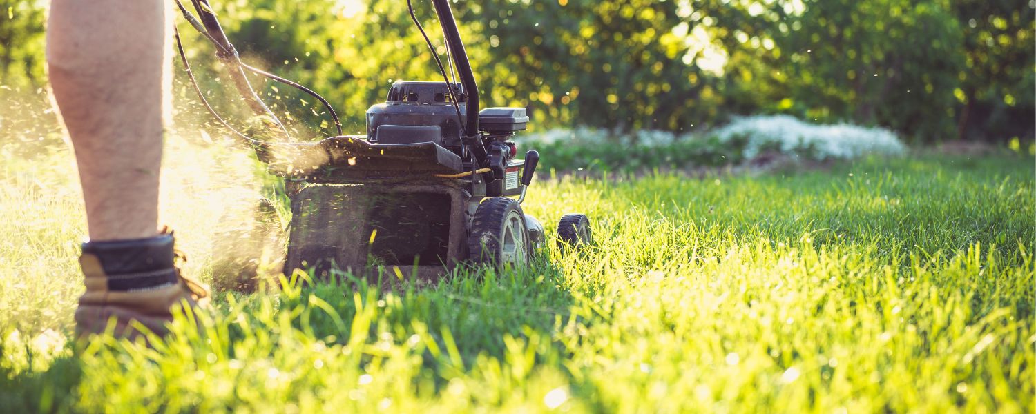 A person operating the lawnmower in a grassy area