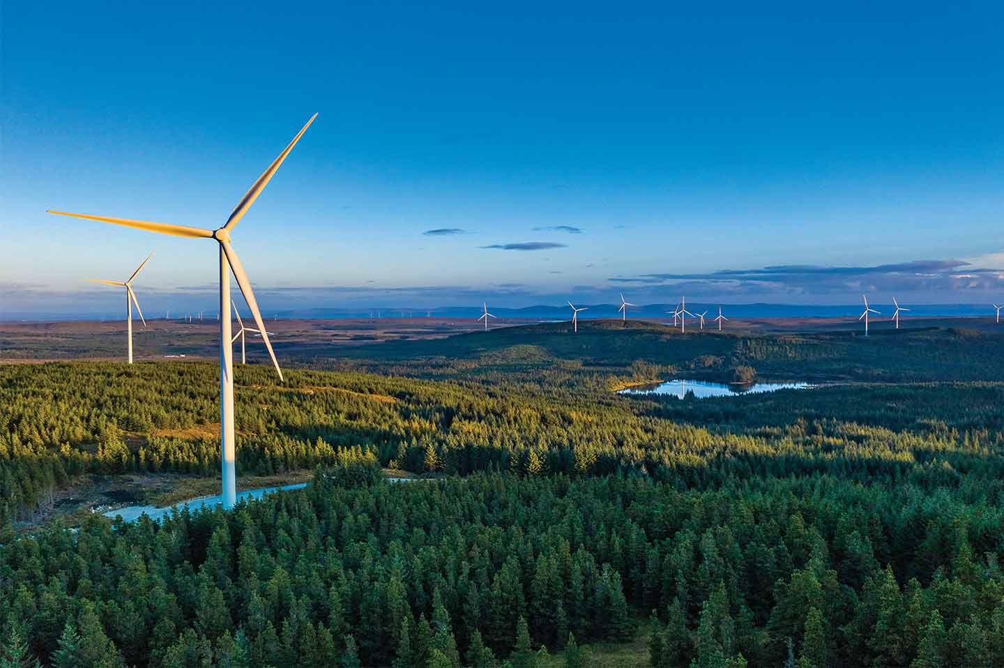 Windmill-sky-forest-products Wind turbines turning in a forest