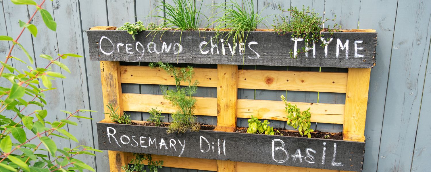 A vertical arranged pallet structure with compartments for different herbs such as oregano, chives, thyme, rosemary, dill and basil
