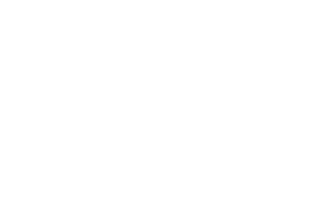 The logo of the insurance company of Aruba: AZV 