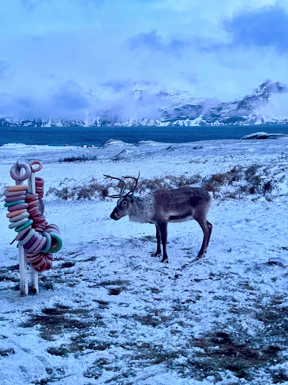 Isola Vannoya, Norvegia Skialp