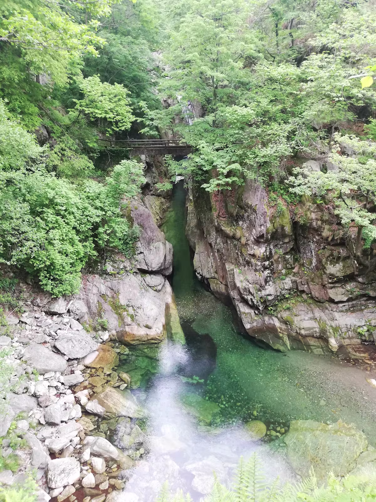 valgrande, davide canil kalipé (1)