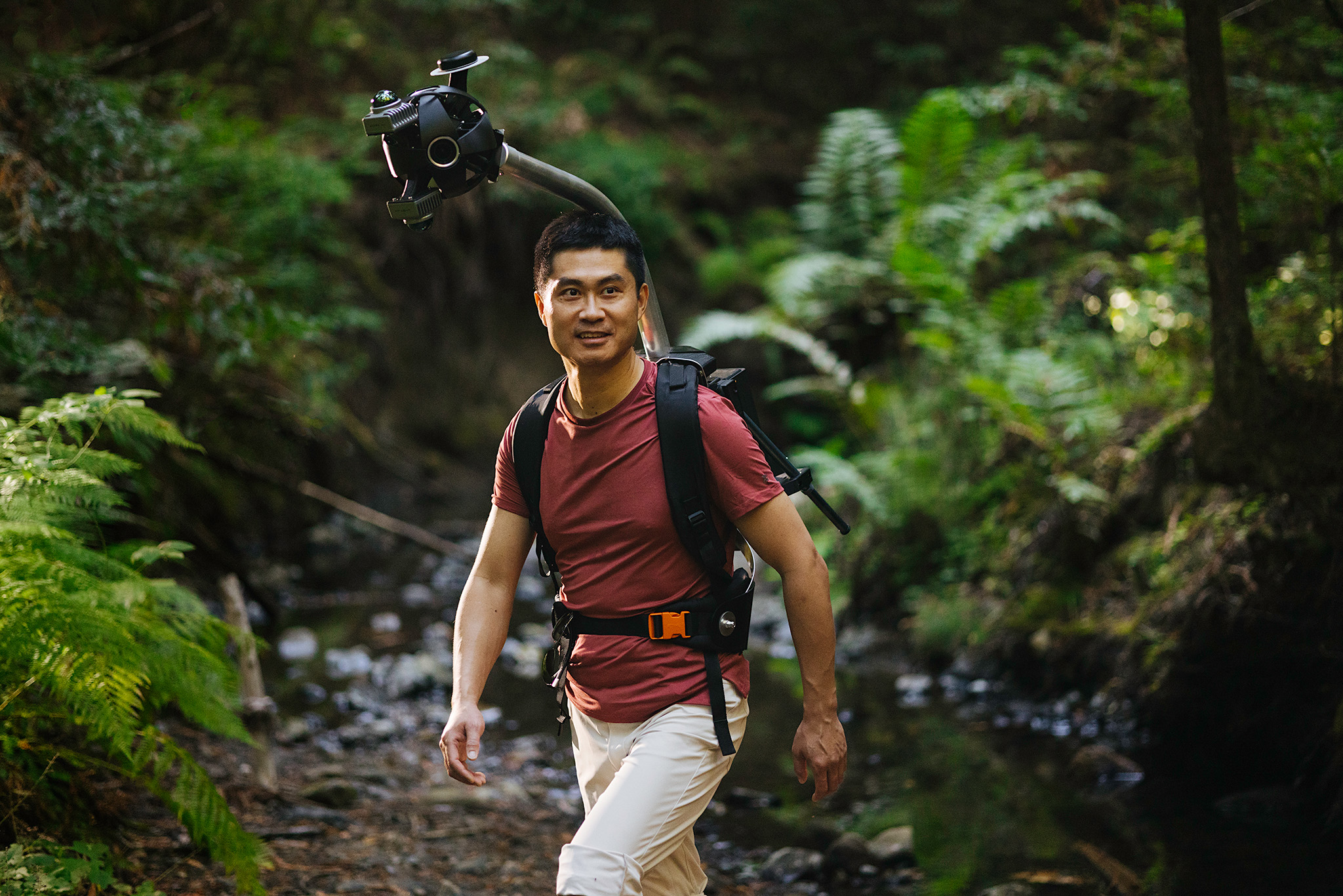 Capturing a forest with 6 cameras, 2 lidars, and an IMU