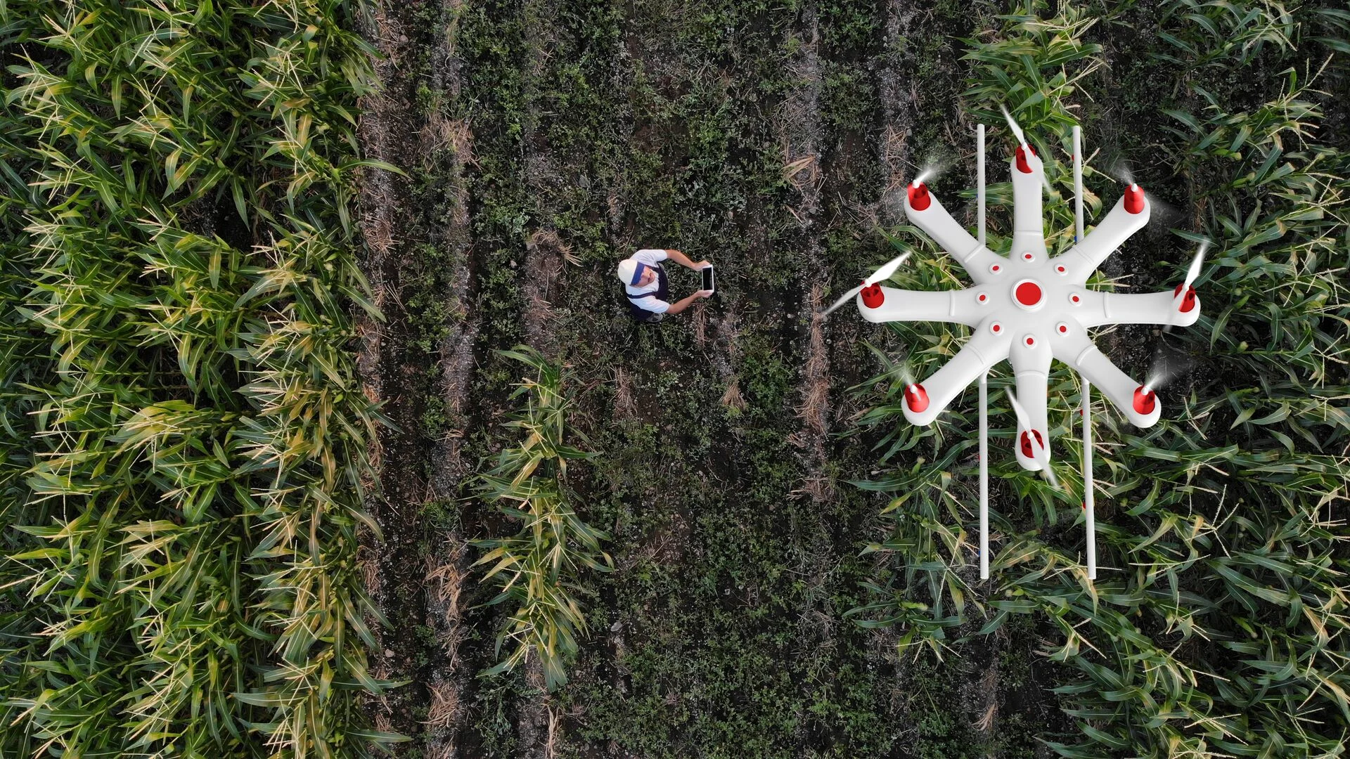 revolutionizing-agriculture-with-iot-connectivity