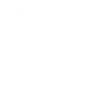 store-icon