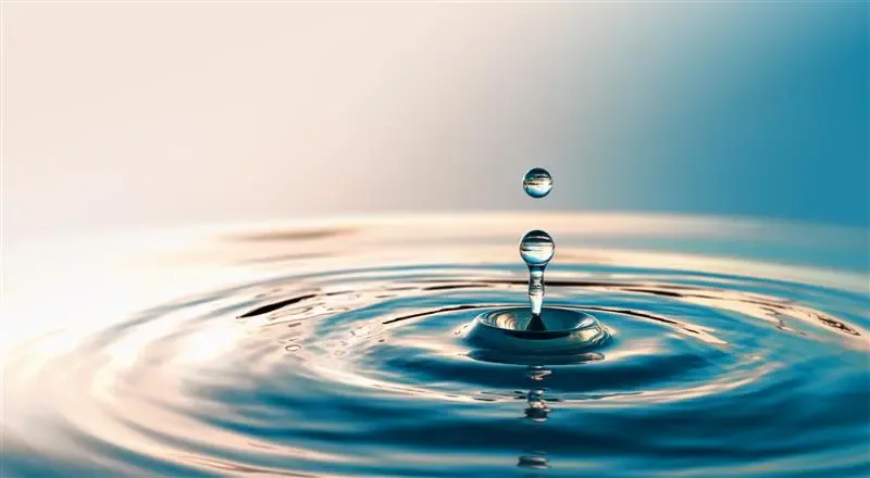 water leak management