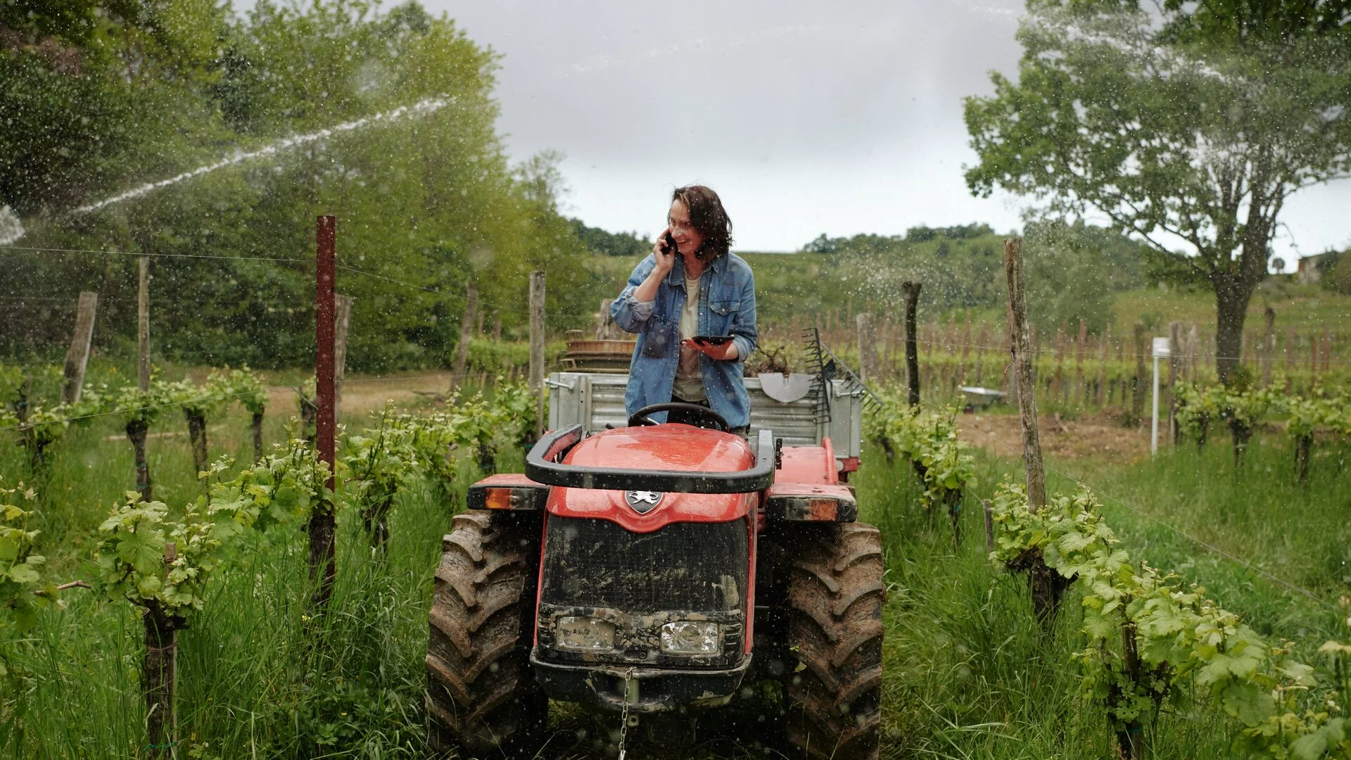 agriculture