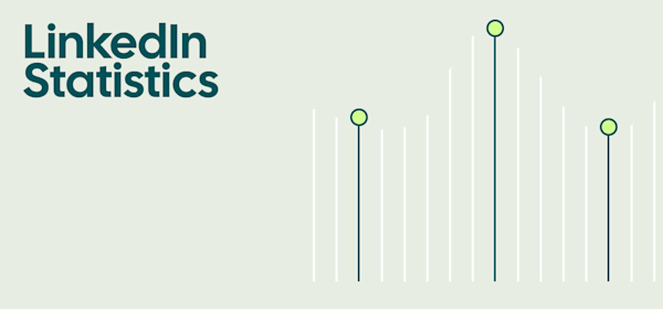 LinkedIn Statistics