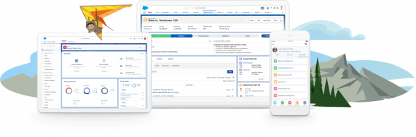 sales-force-crm-600x198.png
