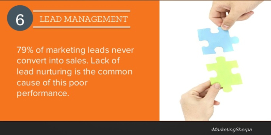 marketing-sherpa-lead-statistics