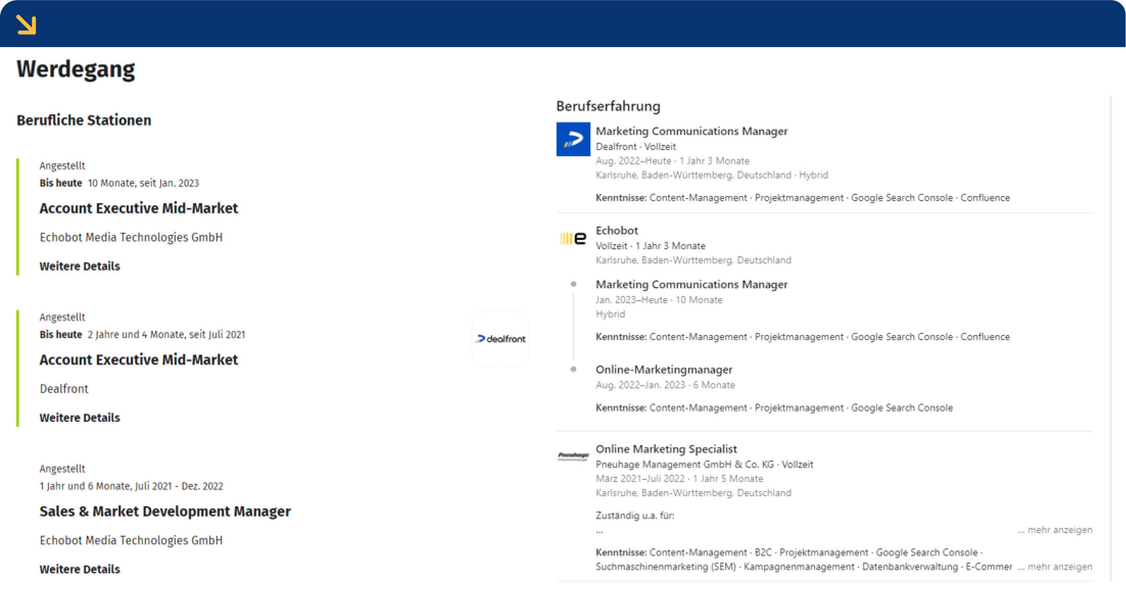 Berufliche Stationen in Xing und LinkedIn als Liste