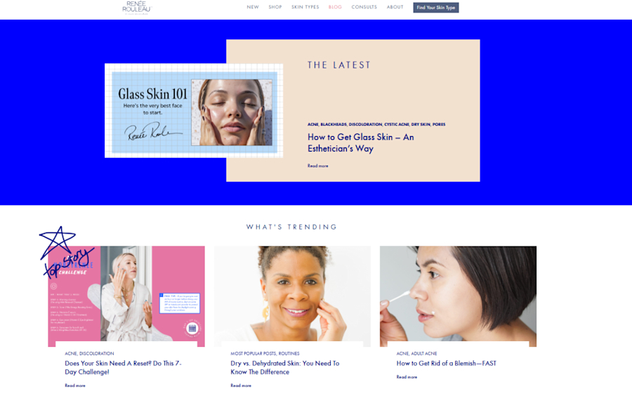 Screenshot taken from Renée Rouleau’s blog