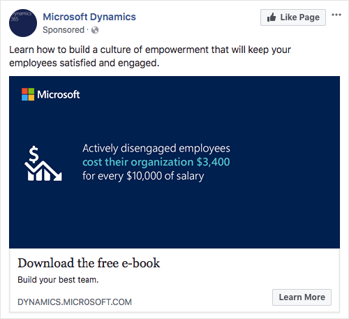 Microsoft-Dynamics-20