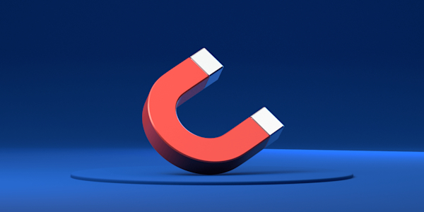 Lead magnets are used to gain a prospect’s contact information