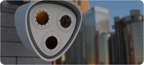 sucsess-story-LMCS-card