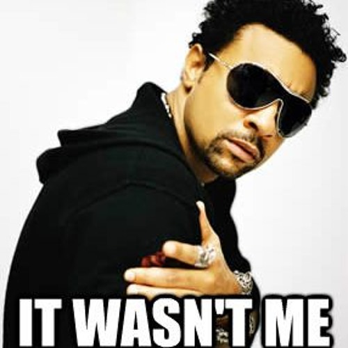 shaggy it wasnt me