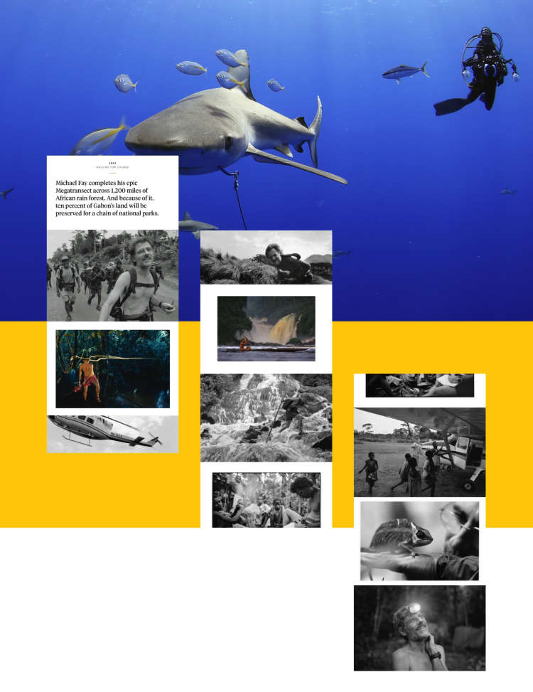 A screenshot of a blog post comprised of nature photos with a photo of sharks in the background
