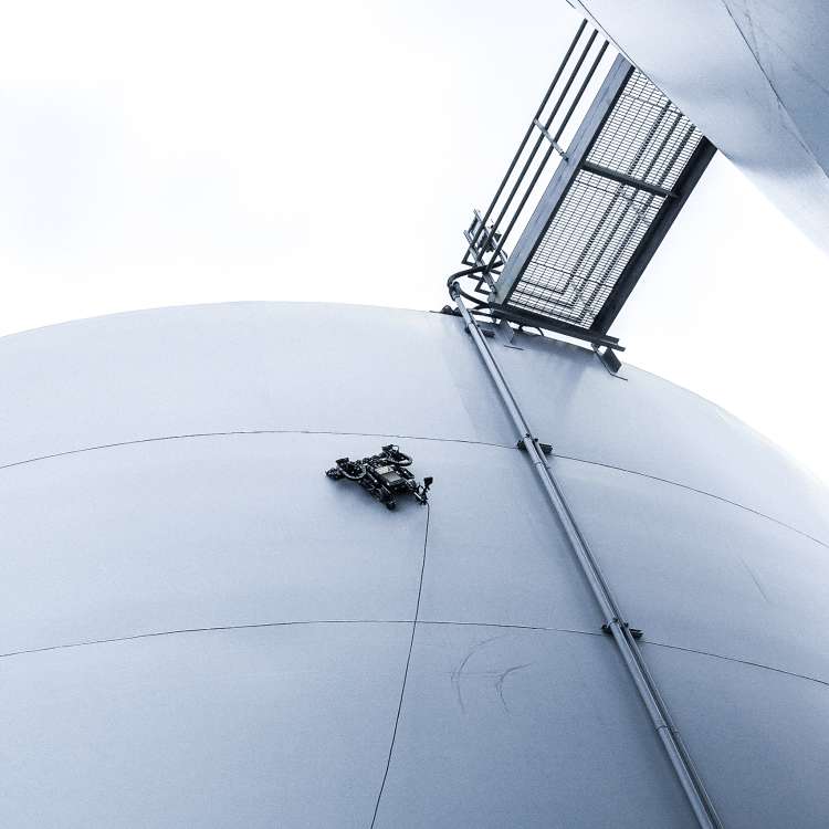 photo of a gecko robot working high on the side of an industrial tank