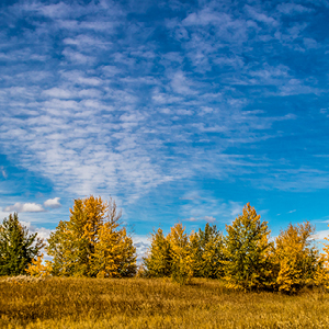 037-37B Community thumbnailImage WentworthPointe.jpg