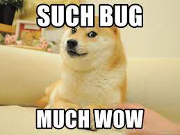 bug.jpeg 1641255706480
