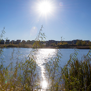 thi-492 Community thumbnailImage Evanston.jpg