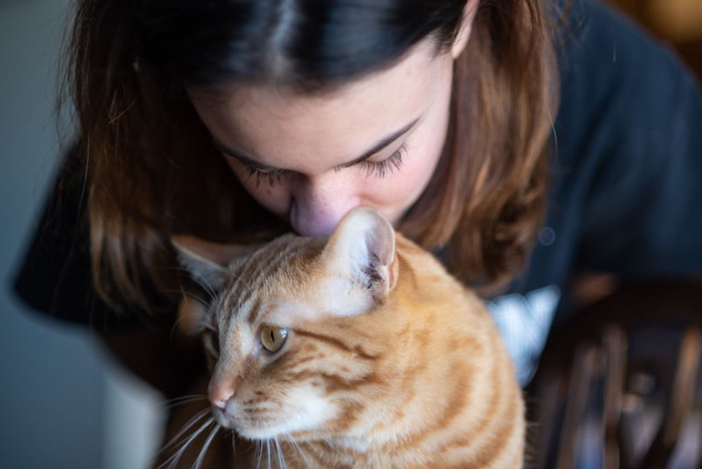 vivre avec allergie au chat