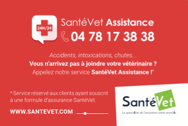 santevet assistance vethica