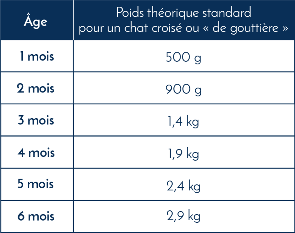 Poids_standard_chat_de_gouttiere