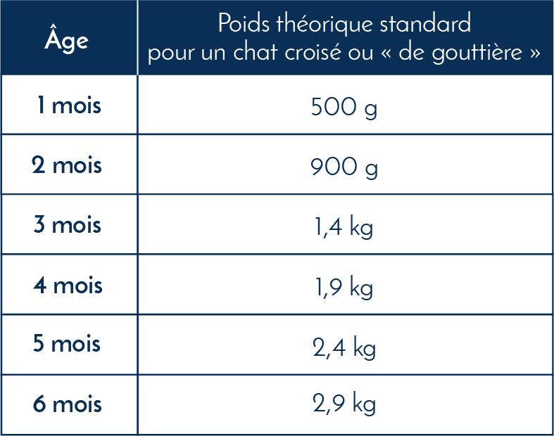 Poids_standard_chat_de_gouttiere