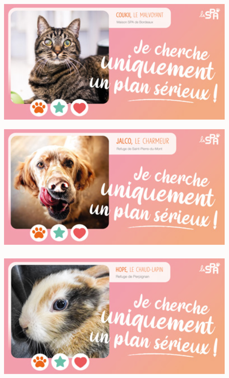 SPA_adoption_saint_valentin