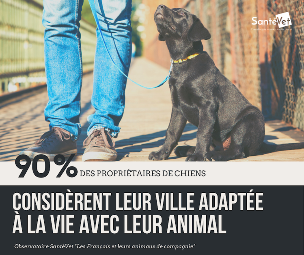 enquete_ipsos_santevet_2020_francais_chiens_chats_E