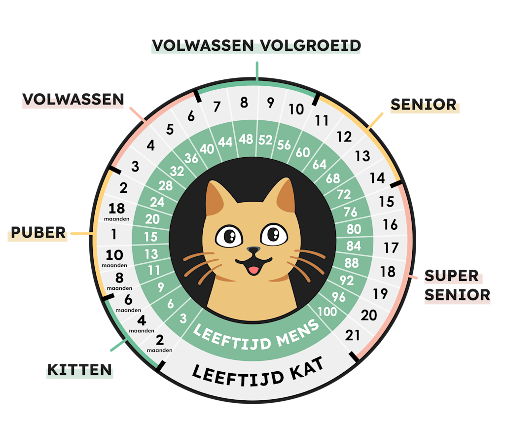 wanneer kat uitgegroeid