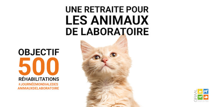 Journee-Mondiale-des-Animaux-de-laboratoire-2