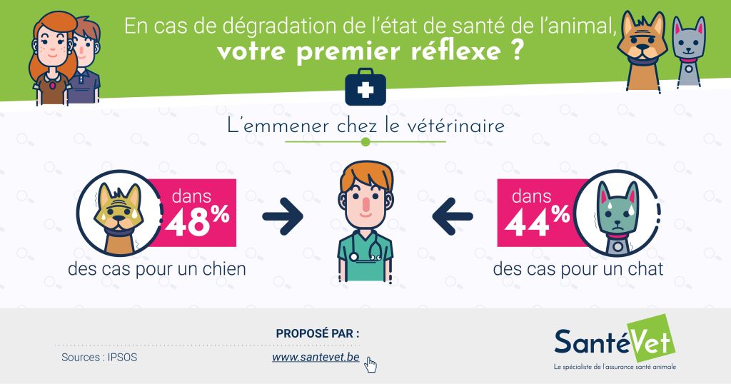 Infographie_DONNEES_ANIMAUX_analyse-08
