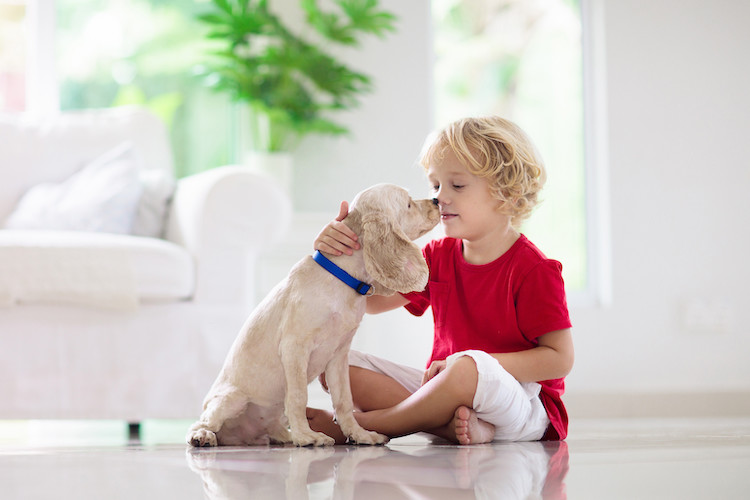 les vers du chien sont transmissibles à l'homme