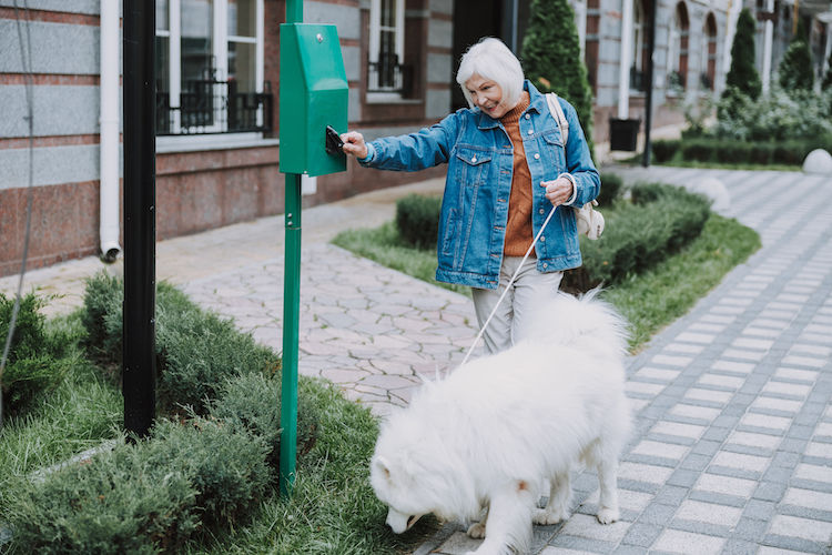 chien ramasse crottes