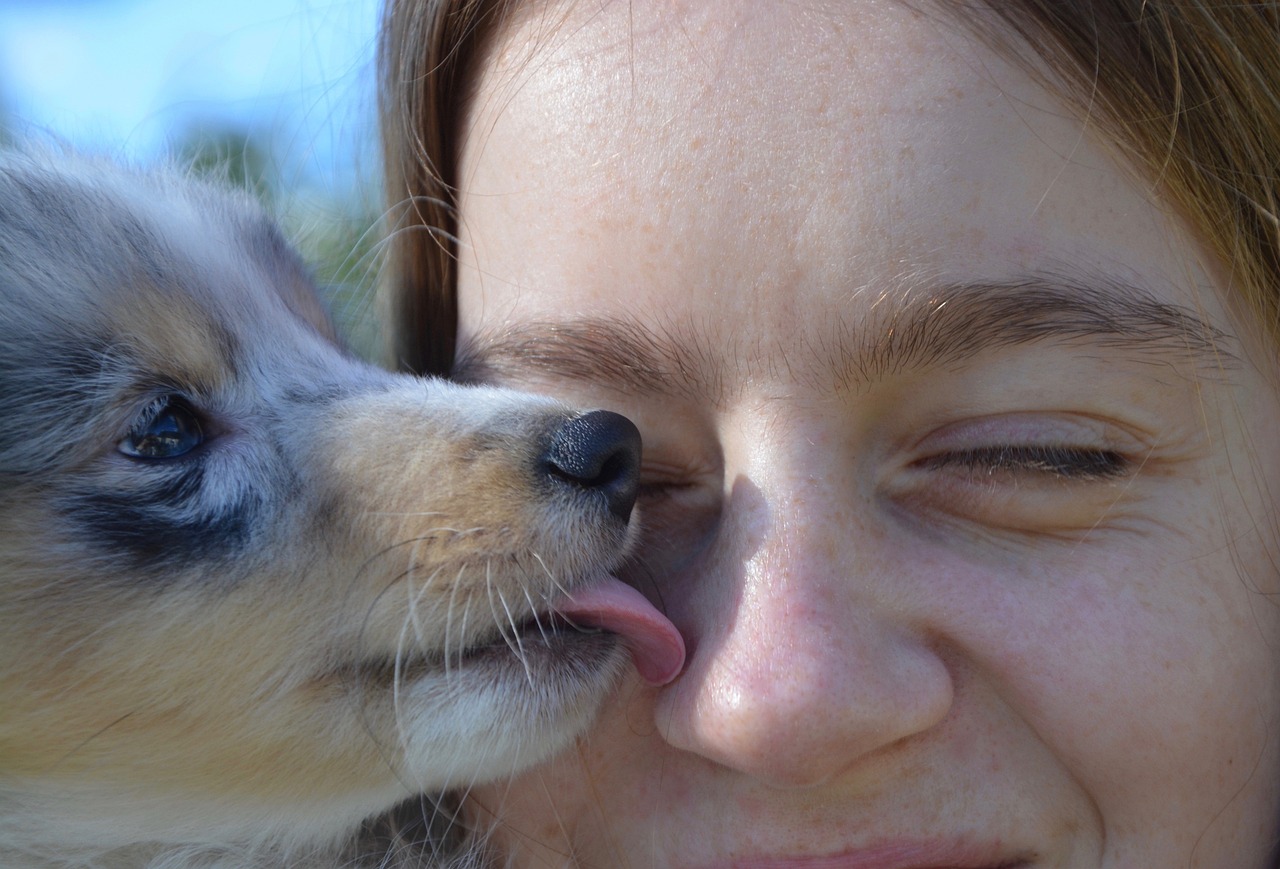 Chien qui lèche