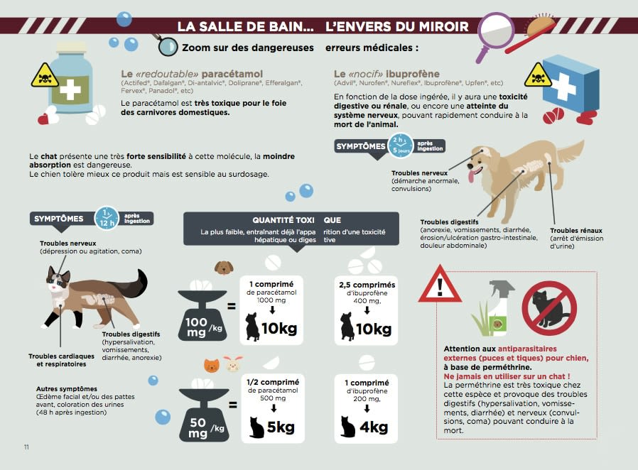 intoxications_chien_chat_salle_de_bain