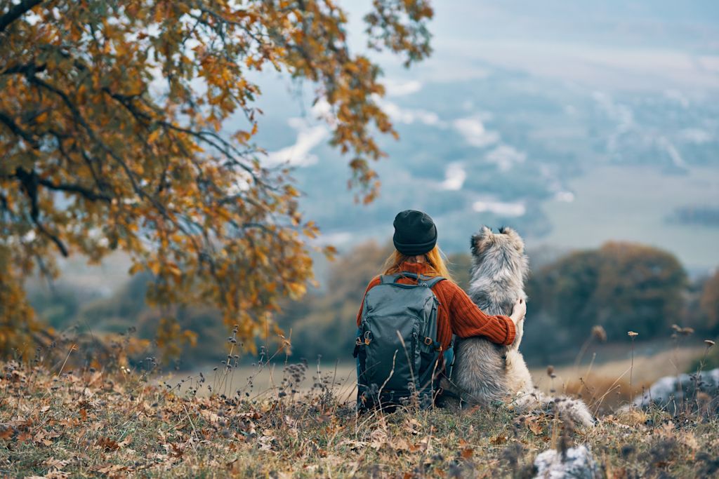 chien en vacances a la montagne