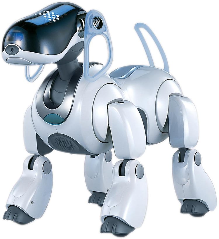 Aibo : chien robot… à la vie à la mort ! - Actualité - Chien