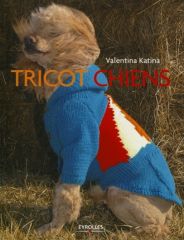 Manteau chien tricot online facile