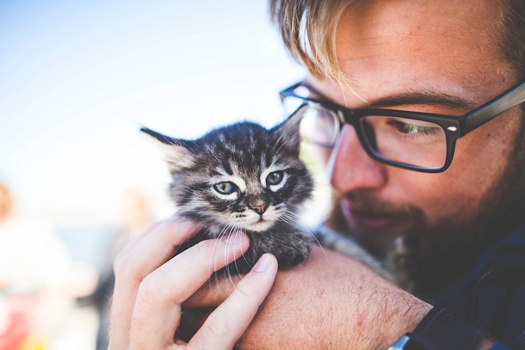 homme et son chaton