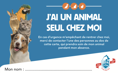 « Attention au chien » : le panneau d'avertissement n'excuse pas le maître  en cas de morsure - Assurance animaux - Chien - Santévet