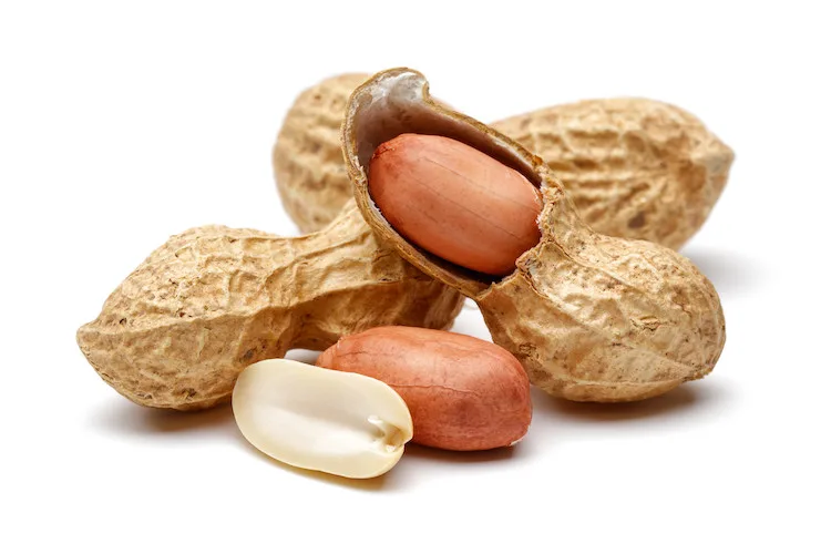 Peanut 100% Menguy's - sans huile de palme