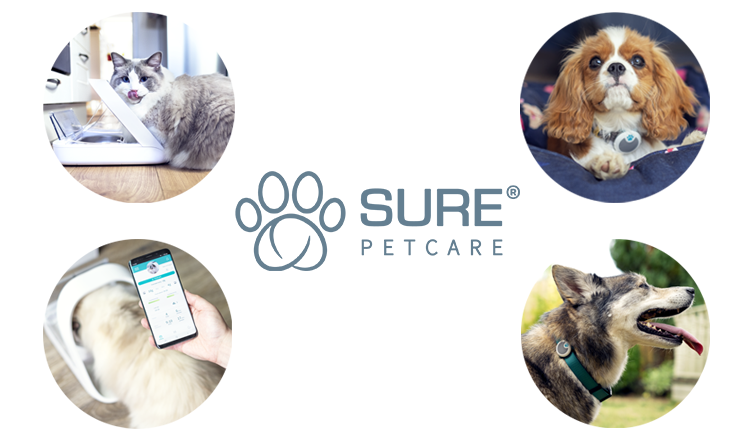 Cadeaux Sure Petcare Concours 10 ans Bulle Bleue