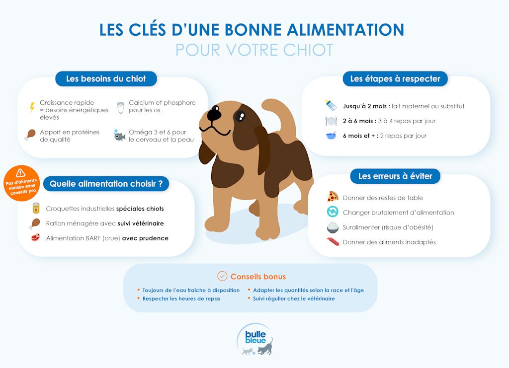 alimentation chiot