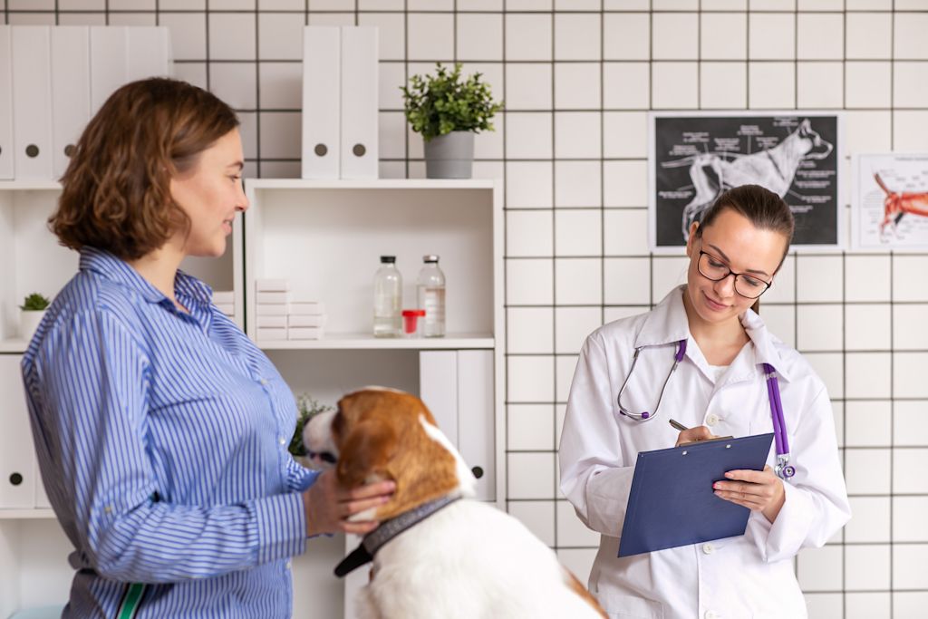 Chien chez le vétérinaire